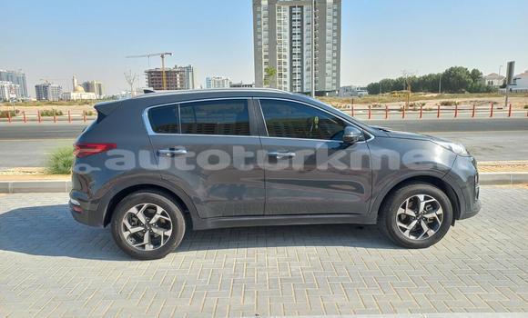 Buy Used Kia Sportage Other Car in Asgabat in Asgabat Buy Used Kia Sportage Other Car in Asgabat in Asgabat