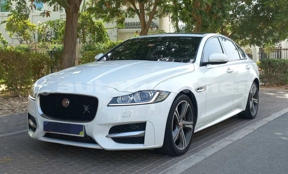 Buy Used Jaguar XF White Car in Asgabat in Asgabat