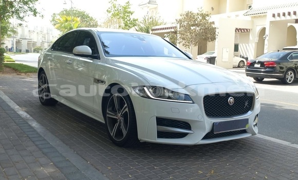 Buy Used Jaguar XF White Car in Asgabat in Asgabat Buy Used Jaguar XF White Car in Asgabat in Asgabat