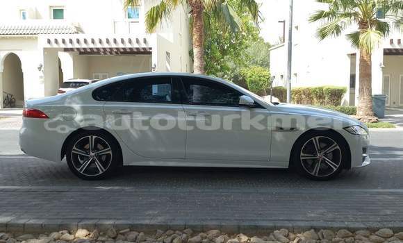 Buy Used Jaguar XF White Car in Asgabat in Asgabat Buy Used Jaguar XF White Car in Asgabat in Asgabat