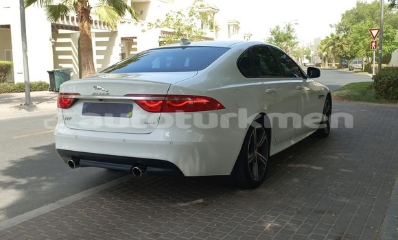 Buy Used Jaguar XF White Car in Asgabat in Asgabat Buy Used Jaguar XF White Car in Asgabat in Asgabat
