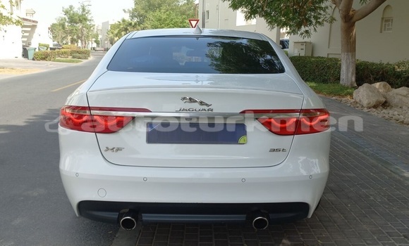 Buy Used Jaguar XF White Car in Asgabat in Asgabat Buy Used Jaguar XF White Car in Asgabat in Asgabat