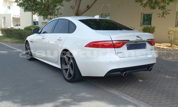 Buy Used Jaguar XF White Car in Asgabat in Asgabat Buy Used Jaguar XF White Car in Asgabat in Asgabat