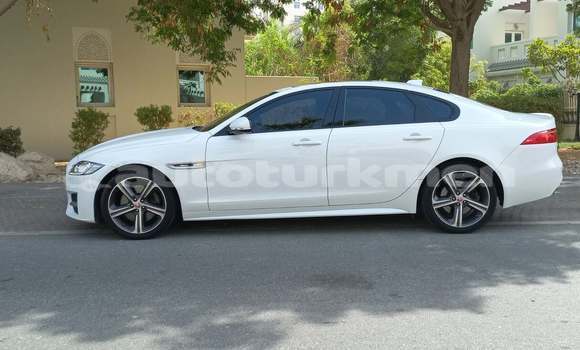 Buy Used Jaguar XF White Car in Asgabat in Asgabat Buy Used Jaguar XF White Car in Asgabat in Asgabat