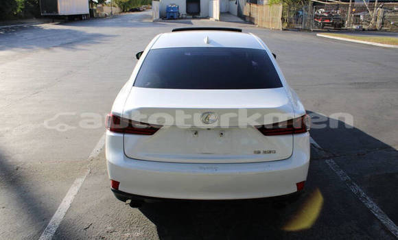 Buy Used Lexus IS Other Car in Asgabat in Asgabat Buy Used Lexus IS Other Car in Asgabat in Asgabat