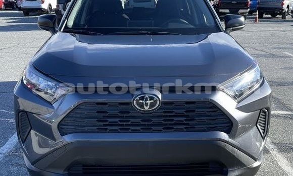 Buy Used Toyota RAV4 Blue Car in Babadayhan in Ahal