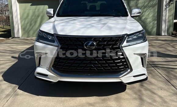 Buy Used Lexus LX 570 White Car in Ahchadepe in Ahal
