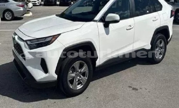 Buy Used Toyota RAV4 White Car in Asgabat in Asgabat