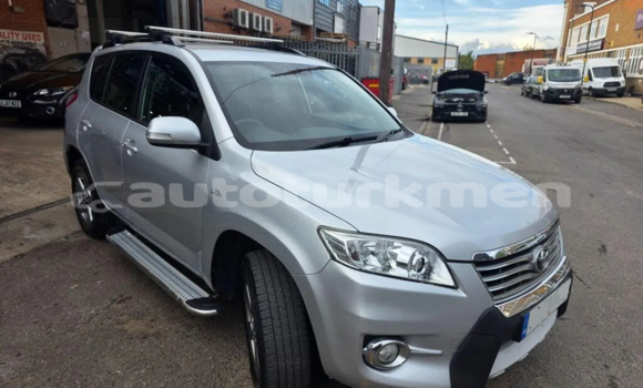Buy Used Toyota RAV4 White Car in Asgabat in Asgabat
