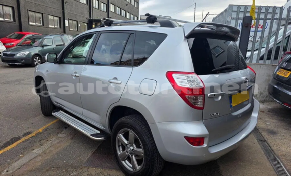 Buy Used Toyota RAV4 White Car in Asgabat in Asgabat Buy Used Toyota RAV4 White Car in Asgabat in Asgabat