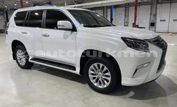 Buy Used Lexus GX White Car in Balkanabat in Balkan