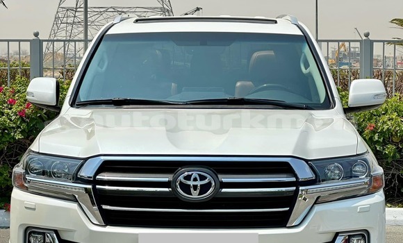 Buy Used Toyota Land Cruiser White Car in Gasanguli in Balkan