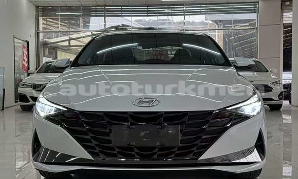 Buy Used Hyundai Elantra White Car in Import - Dubai in Ahal