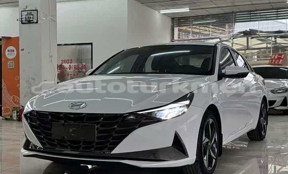Buy Used Hyundai Elantra White Car in Import - Dubai in Ahal Buy Used Hyundai Elantra White Car in Import - Dubai in Ahal