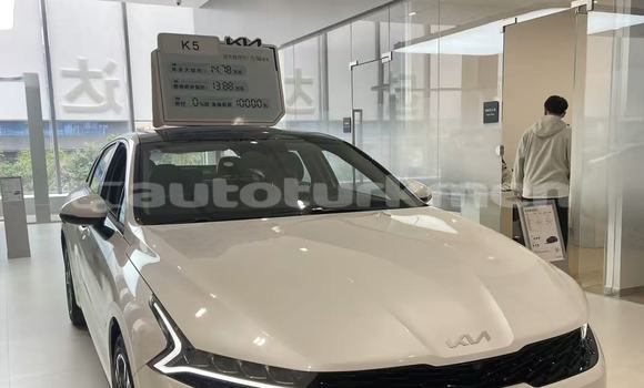 Buy New Kia K5 White Car in Asgabat in Asgabat Buy New Kia K5 White Car in Asgabat in Asgabat