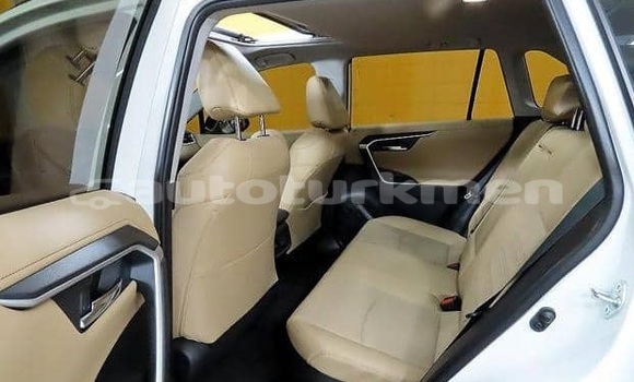 Buy Used Toyota RAV4 White Car in Asgabat in Asgabat Buy Used Toyota RAV4 White Car in Asgabat in Asgabat