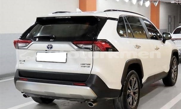 Buy Used Toyota RAV4 White Car in Asgabat in Asgabat Buy Used Toyota RAV4 White Car in Asgabat in Asgabat