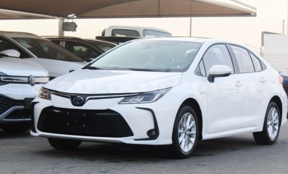 Buy Used Toyota Corolla White Car in Asgabat in Asgabat