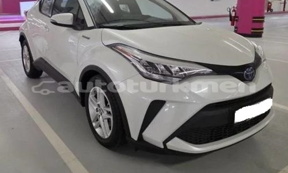 Buy Used Toyota C-HR White Car in Asgabat in Asgabat
