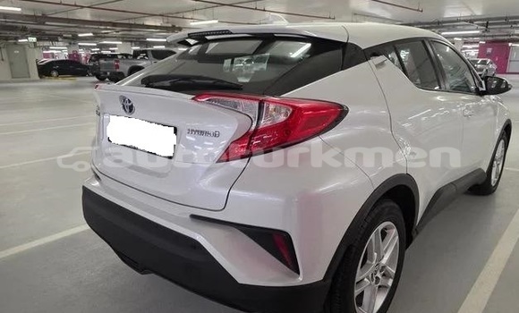 Buy Used Toyota C-HR White Car in Asgabat in Asgabat Buy Used Toyota C-HR White Car in Asgabat in Asgabat