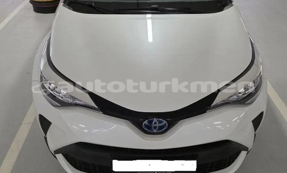 Buy Used Toyota C-HR White Car in Asgabat in Asgabat Buy Used Toyota C-HR White Car in Asgabat in Asgabat