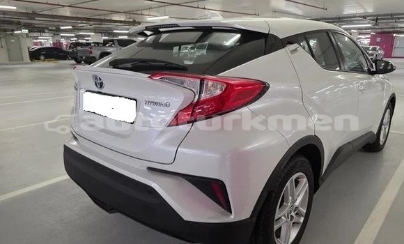 Buy Used Toyota C-HR White Car in Asgabat in Asgabat Buy Used Toyota C-HR White Car in Asgabat in Asgabat