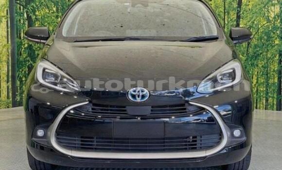 Buy Used Toyota Aqua Silver Car in Asgabat in Asgabat Buy Used Toyota Aqua Silver Car in Asgabat in Asgabat