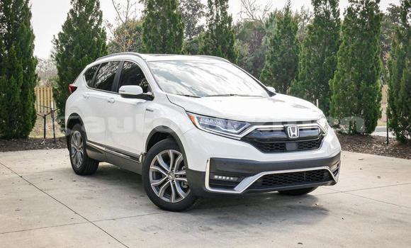 Buy Used Honda CR–V White Car in Asgabat in Asgabat