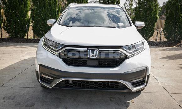 Buy Used Honda CR–V White Car in Asgabat in Asgabat Buy Used Honda CR–V White Car in Asgabat in Asgabat