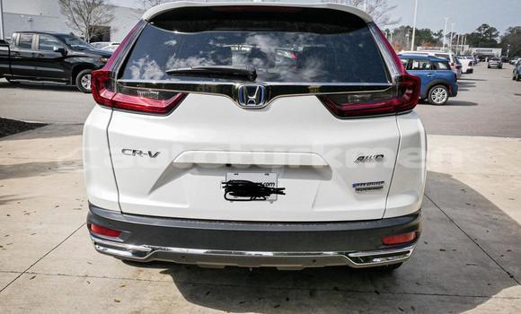 Buy Used Honda CR–V White Car in Asgabat in Asgabat Buy Used Honda CR–V White Car in Asgabat in Asgabat