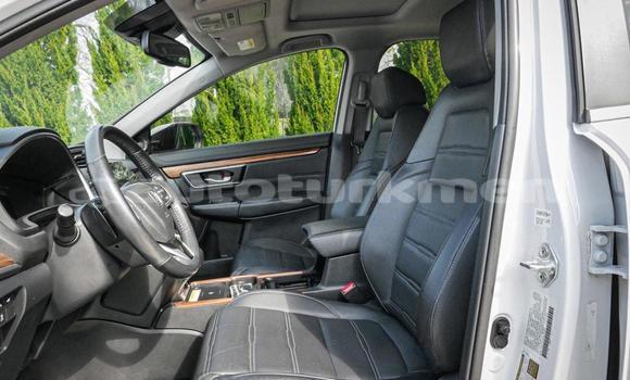 Buy Used Honda CR–V White Car in Asgabat in Asgabat Buy Used Honda CR–V White Car in Asgabat in Asgabat