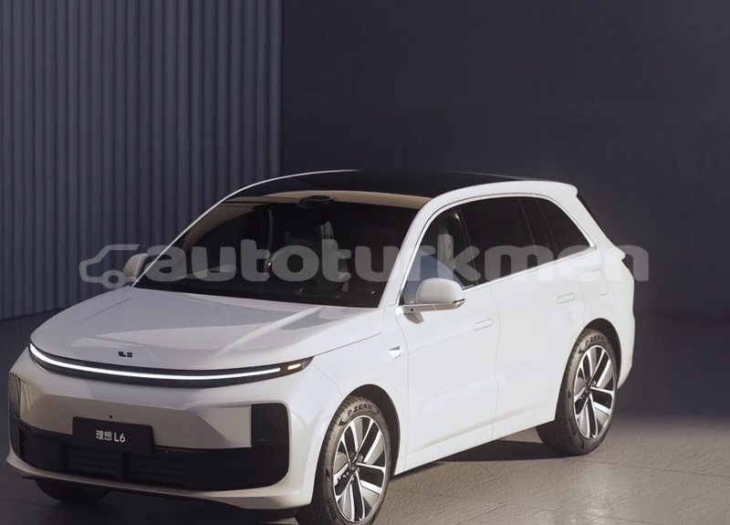 Big with watermark lifan x50 ahal tecen 4306