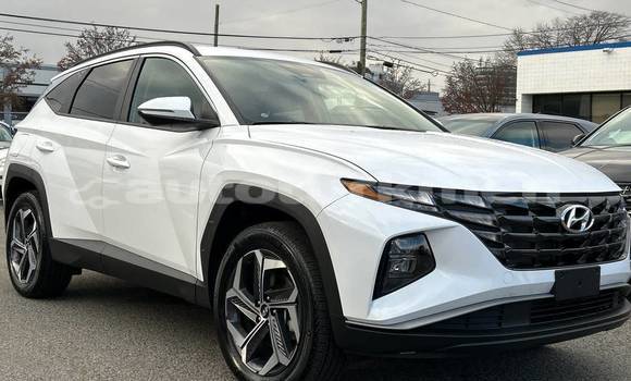 Buy Used Hyundai Tucson White Car in Asgabat in Asgabat