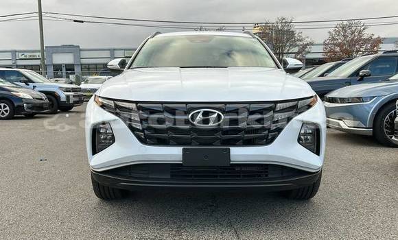 Buy Used Hyundai Tucson White Car in Asgabat in Asgabat Buy Used Hyundai Tucson White Car in Asgabat in Asgabat