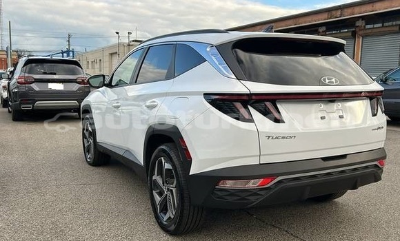 Buy Used Hyundai Tucson White Car in Asgabat in Asgabat Buy Used Hyundai Tucson White Car in Asgabat in Asgabat