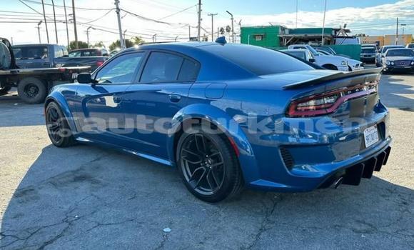Buy Used Dodge Charger Blue Car in Asgabat in Asgabat Buy Used Dodge Charger Blue Car in Asgabat in Asgabat