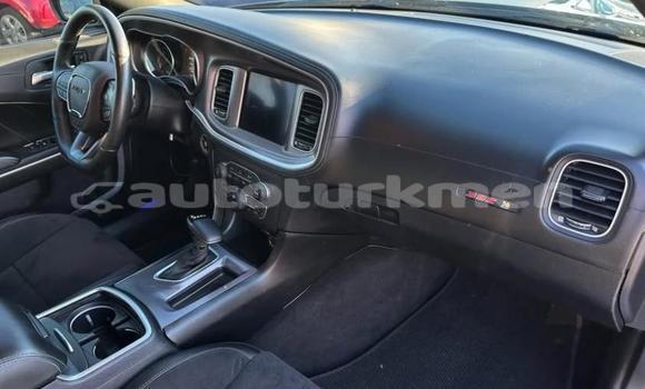 Buy Used Dodge Charger Blue Car in Asgabat in Asgabat Buy Used Dodge Charger Blue Car in Asgabat in Asgabat