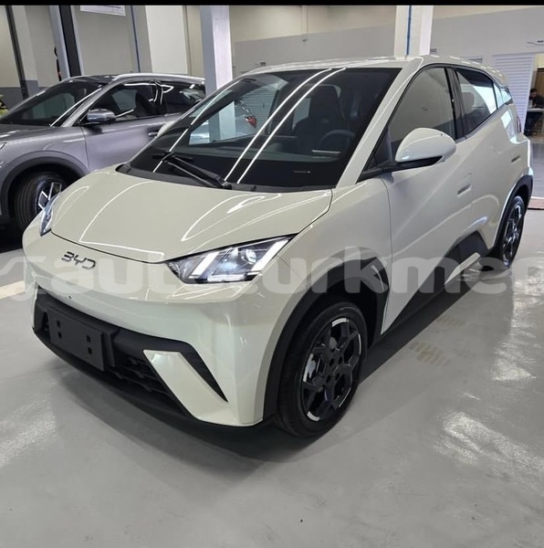 Big with watermark byd s6 asgabat asgabat 4323