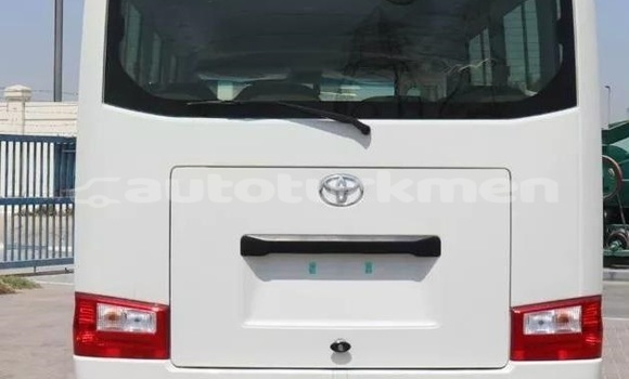 Buy Used Toyota Coaster White Car in Turkmenabat in Lebap Buy Used Toyota Coaster White Car in Turkmenabat in Lebap