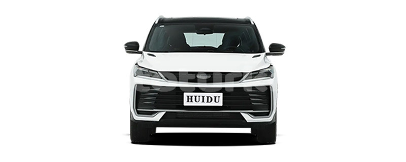 Big with watermark geely beauty leopard dasoguz tagta 4366