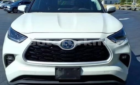 Buy Used Toyota Highlander White Car in Turkmenabat in Lebap