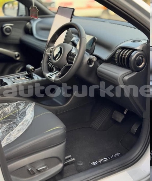 Big with watermark byd f3 asgabat asgabat 4385