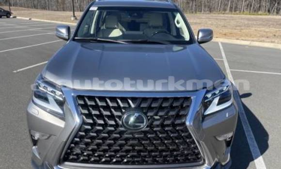 Buy Used Lexus GX Other Car in Babadayhan in Ahal