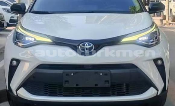 Buy Used Toyota C-HR White Car in Asgabat in Asgabat Buy Used Toyota C-HR White Car in Asgabat in Asgabat