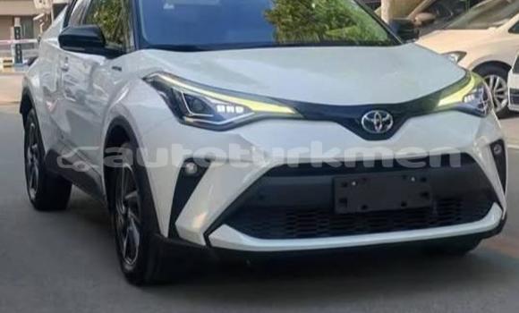 Buy Used Toyota C-HR White Car in Asgabat in Asgabat Buy Used Toyota C-HR White Car in Asgabat in Asgabat
