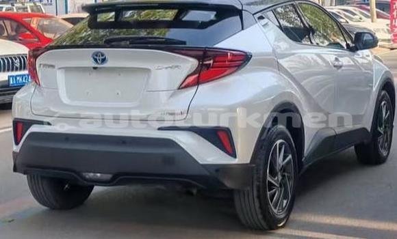 Buy Used Toyota C-HR White Car in Asgabat in Asgabat Buy Used Toyota C-HR White Car in Asgabat in Asgabat