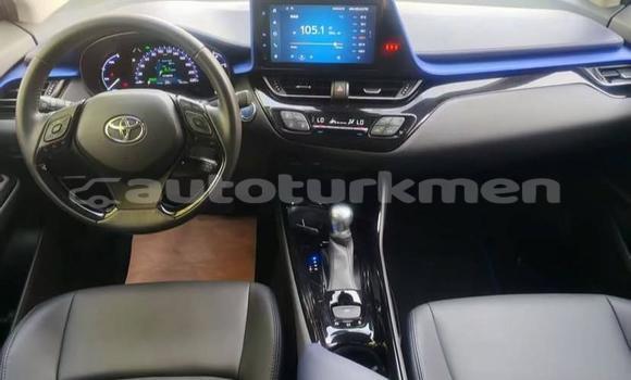 Buy Used Toyota C-HR White Car in Asgabat in Asgabat Buy Used Toyota C-HR White Car in Asgabat in Asgabat