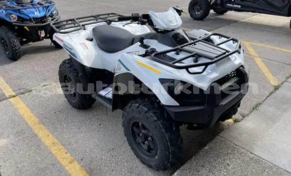 Buy Used Kawasaki Brute Force White Bike in Karakala in Balkan