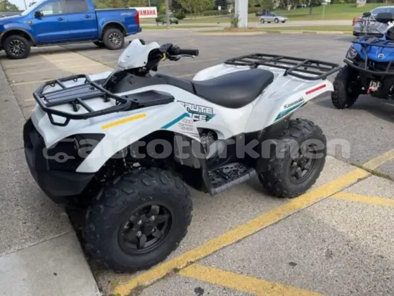 Big with watermark kawasaki brute force balkan karakala 4435