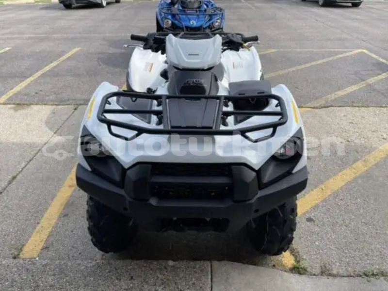 Big with watermark kawasaki brute force balkan karakala 4435